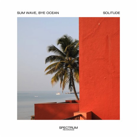Solitude ft. Bye Ocean | Boomplay Music
