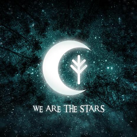 WE ARE THE STARS | Boomplay Music