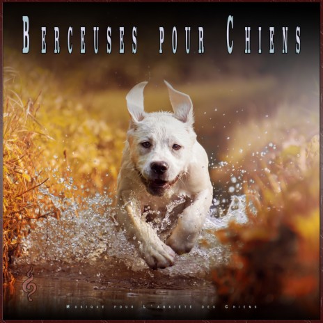 Musique Piano pour Chien Relaxante ft. Musique pour L'anxiété des Chiens & Musique Relaxante pour Chiens