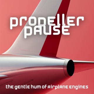 Propeller Pause: The Gentle Hum of Airplane Engines