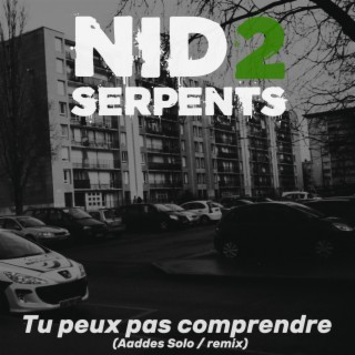 Tu peux pas comprendre (Aaddes Solo) (Remix)