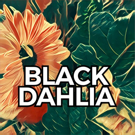 Black Dahlia | Boomplay Music