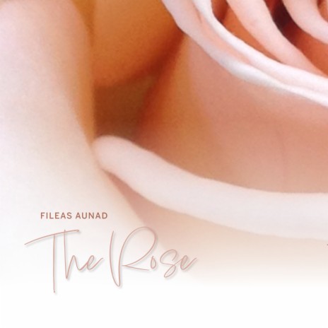 The Rose | Boomplay Music