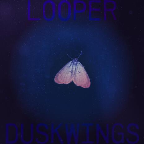 duskwings | Boomplay Music