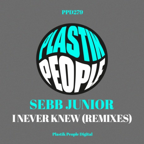 I Never Knew (Remixes) (Sean E Dub)
