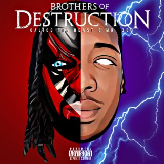 Brothers of Destruction