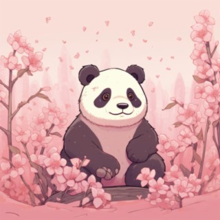 Panda's Beginnings