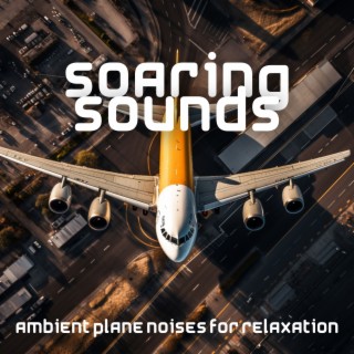 Soaring Sounds: Ambient Plane Noises for Relaxation