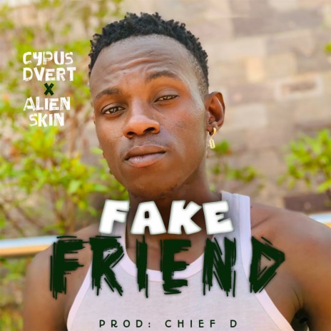 Fake Friend ft. Alien Skin | Boomplay Music