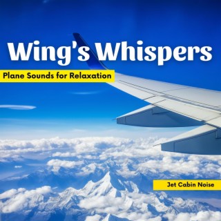 Wing's Whispers: Plane Sounds for Relaxation