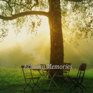 Echoing Memories