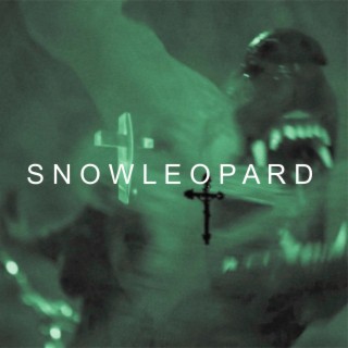 Snow Leopard lyrics | Boomplay Music