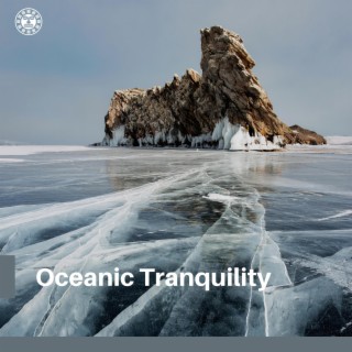 Oceanic Tranquility: Native Flute and The Gentle Sounds of Tides