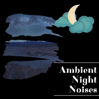 Ambient Night Noises for Zen Moments