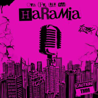 Haramia (Ota & Lil Gee) lyrics | Boomplay Music