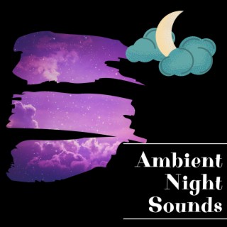 Ambient Night Sounds for Relaxation and Meditation