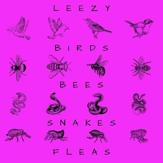 Birds, Bees, Snakes & Fleas (Part 1)