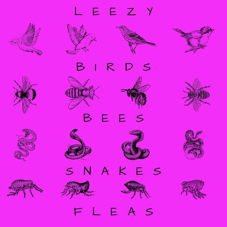 Birds, Bees, Snakes & Fleas (Part 1) | Boomplay Music