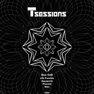 T Sessions 27