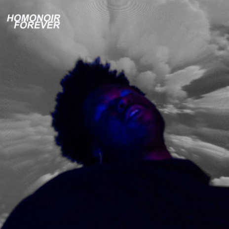 HOMONOIR 4EVER ft. myso, trapdollazmanny, Luh Kunt & Chloe Hotline | Boomplay Music