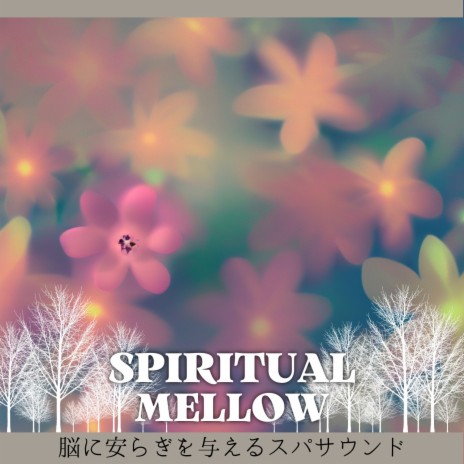 Songs for a Soothing Spirit | Boomplay Music