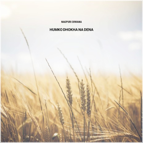 Humko Dhokha Na Dena | Boomplay Music
