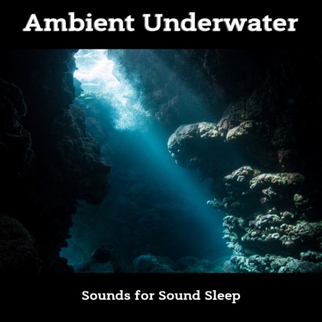 Underwater Ocean Sounds