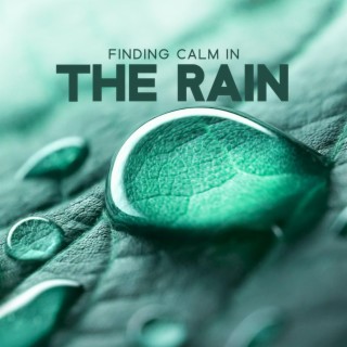 Finding Calm in the Rain: Soothing Piano Music and Rain Sounds for Meditation & Healing