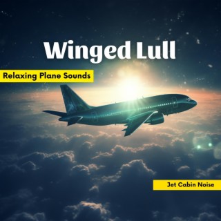 Winged Lull: Relaxing Plane Sounds