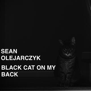 Black Cat on My Back