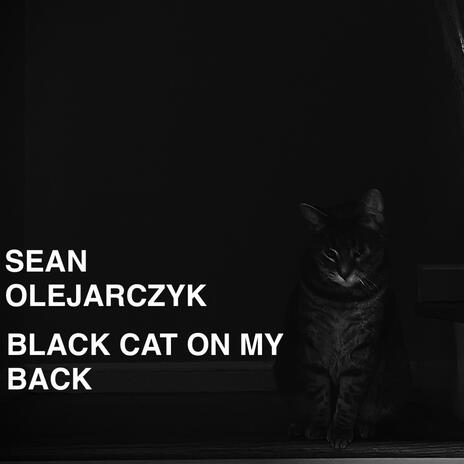 Black Cat on My Back | Boomplay Music