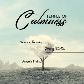 Temple of Calmness: Relaxing Nature Sounds of Wind, Rain and River for Meditation and Yoga. Natural Healing Through Music