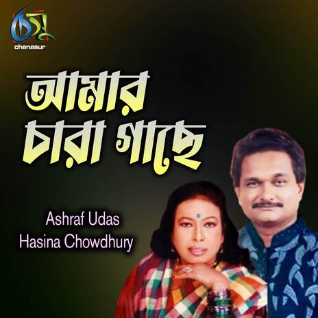 Amar Chara Gache ft. Hasina Chowdhury | Boomplay Music