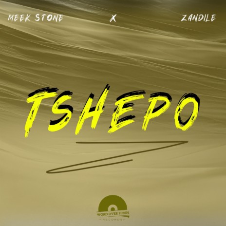 Tshepo ft. Zandile | Boomplay Music