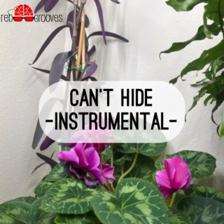 Can't Hide (Instrumental)