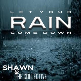 Shawn & the Collective