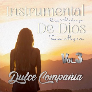 Instrumental Para Alabanza De Dios Tono Mujer Vol. 3