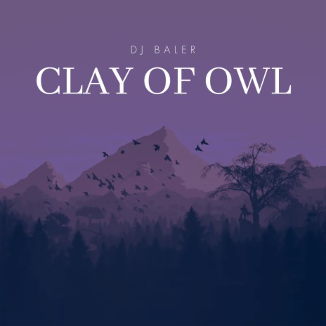 Clay Of Owl | Boomplay Music