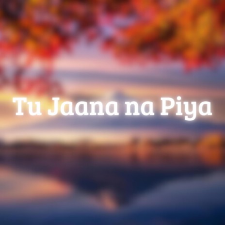 Tu Jaana Na Piya (Lo-Fi) | Boomplay Music