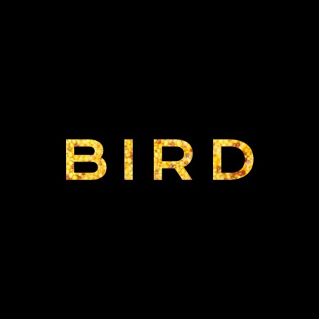 Bird | Boomplay Music