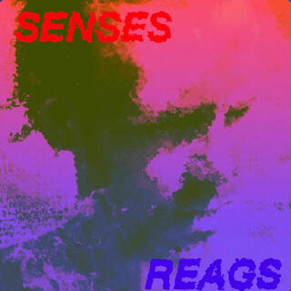 SENSES