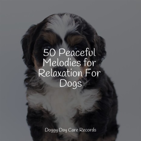 Music for Stress Relief ft. Music for Calming Dogs & Jazz Music Therapy for Dogs