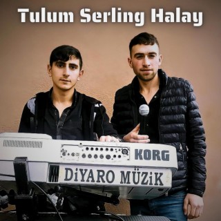 Diyaro Müzik - Efsane Tulum Serling Halay