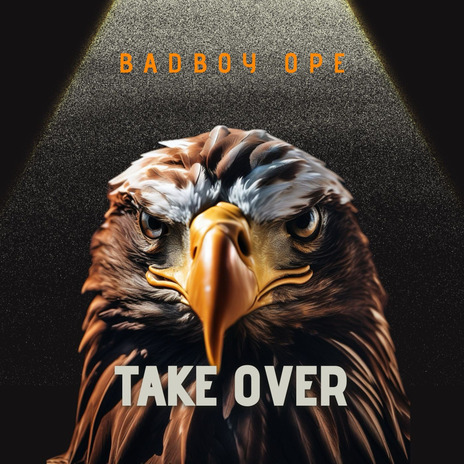 Take Over | Boomplay Music