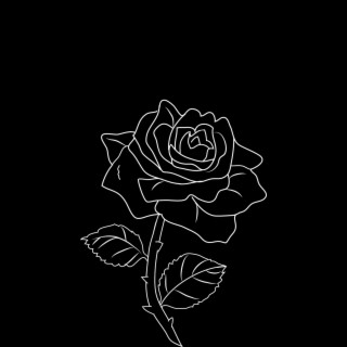 Black Rose