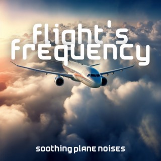 Flight's Frequency: Soothing Plane Noises