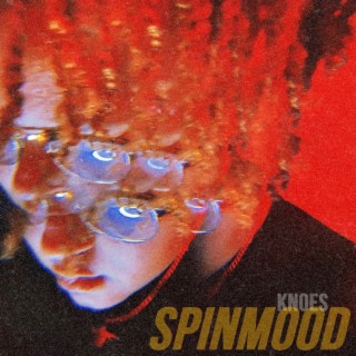 SPINMOOD