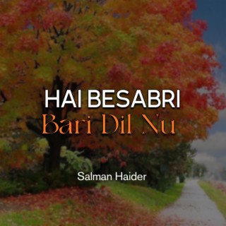 Hai Besabri Bari Dil Nu