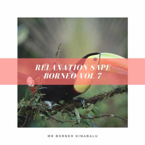 Relaxation Sape Borneo, Vol. 7 | Boomplay Music