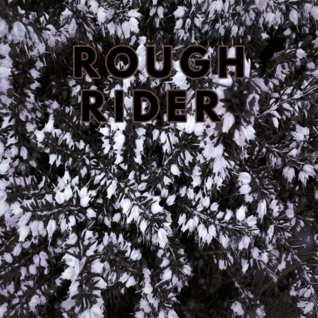 Rough Rider | Boomplay Music